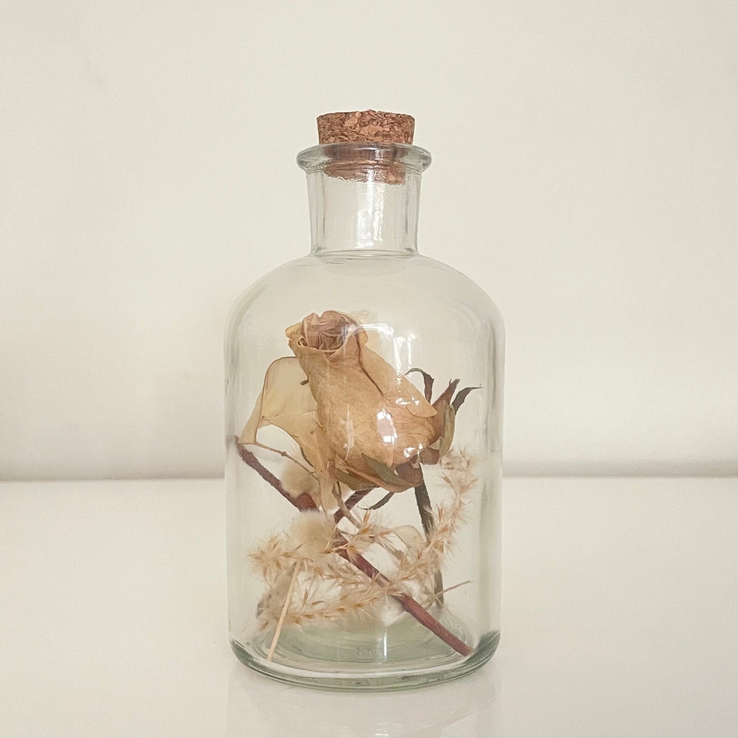 Glass bottle filled with white dried flowers on a white background.