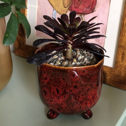 Potted plant in a glazed ceramic red pot on a surface with a framed picture in the background.
