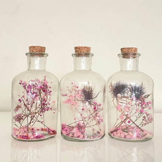 Glass bottles with cork lid containing pink, purple and blue dried flowers on a light background.