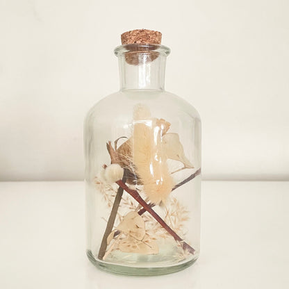 Glass bottle filled with white dried flowers on a white background.