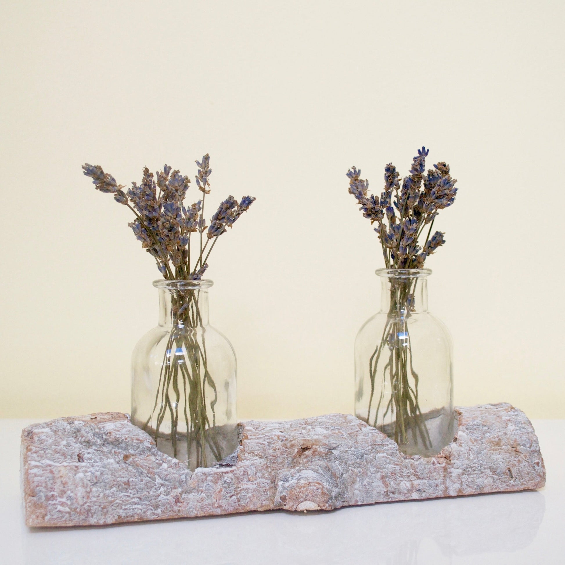 Tree Trunk Vase filled with lavender.