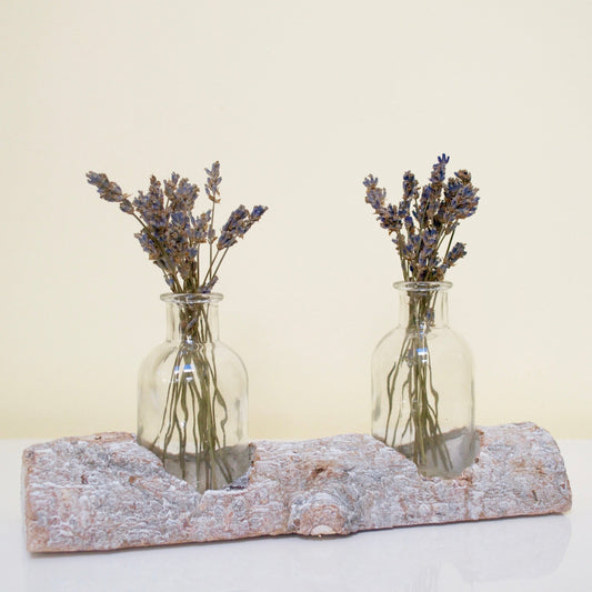 Tree Trunk Vase filled with lavender.