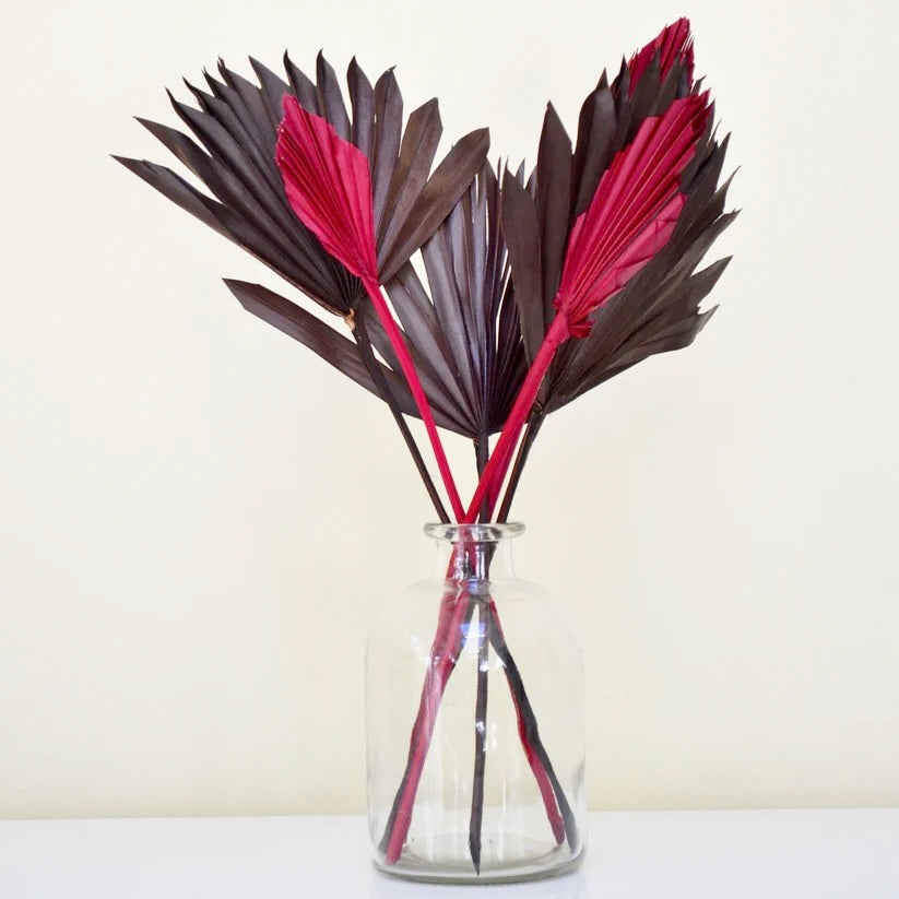Glass vase with red and brown dried palm leaves on a white background.