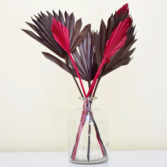 Glass vase with red and brown dried palm leaves on a white background.